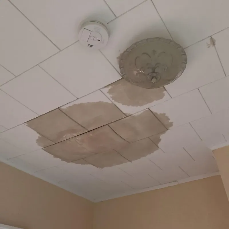 Ceiling Water Damage Repair in Waterloo, IA