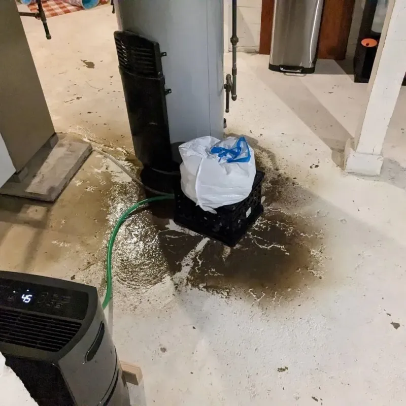 Sewage Backup Cleanup Service in Waterloo, IA